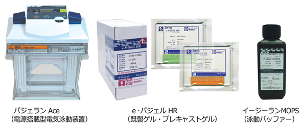 ミニサイズ既製ゲル  | ポリアクリルアミドゲル ミニ(9x8cm)サイズ | 電気泳動既製ゲル | アトー製品情報(bào) | ATTO