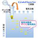 WSE-7010型 EzLabel FluoroNeo VariRays Ⅰ/Ⅱ(バリレイズⅠ/Ⅱ) | 可視光光源 | ゲル撮影?イメージング | アトー製品情報 | ATTO