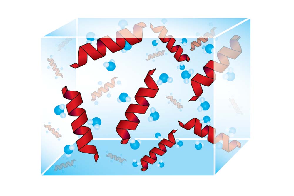 Solubility & Stability Screen