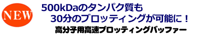 NEW-EzFastBlotHMW-WebTop EzFastBlot HMW (イージーファストブロットHMW) | ブロッティング?ブロッティング試薬 | 試薬 | アトー製品情報 | ATTO