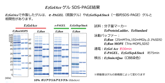 EzGelAce-date-Web- EzGel Ace(イージーゲル エース) | 電気泳動(dòng)?PAGE用ゲルバッファー | 試薬 | アトー製品情報(bào) | ATTO