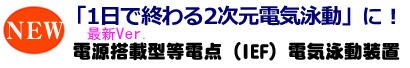 ディスクラン Ace | コンパクト／ミニゲルサイズ | 二次元／等電點(diǎn)電気泳動(dòng) | アトー製品情報(bào) | ATTO