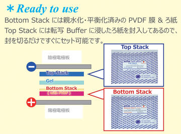 QBlot Zu Photo RGB QBlot Kit | 消耗品(メンブレン?ろ紙) | ブロッティング試薬?消耗品 | アトー製品情報(bào) | ATTO