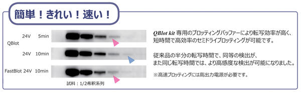 Qblot-date-201812-Web QBlot Kit | 消耗品(メンブレン?ろ紙) | ブロッティング試薬?消耗品 | アトー製品情報(bào) | ATTO