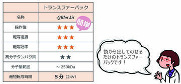 QBlot kit_特長 QBlot kit C/M/W (キューブロットキット) | ブロッティングバッファー | ブロッティング試薬?消耗品 | アトー製品情報 | ATTO