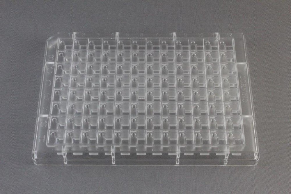CrystalEX Second Generation Corning 3556