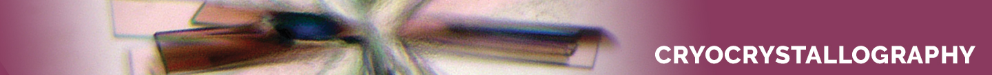 Mounted CryoLoop™ - 20 micron