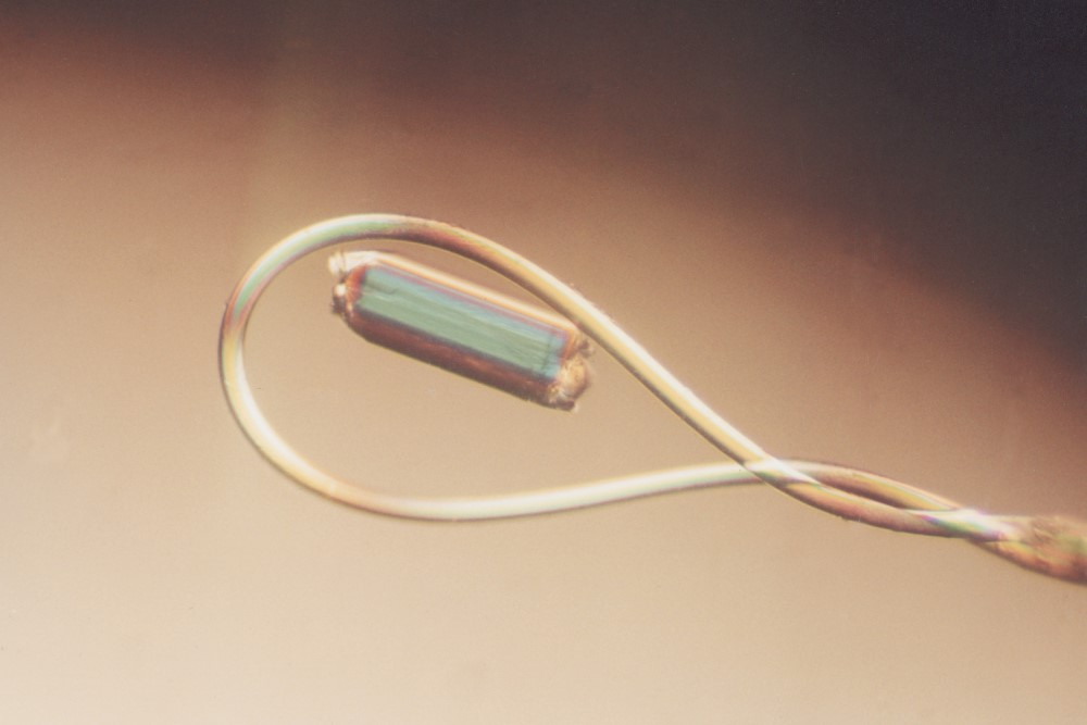 Mounted CryoLoop™ - 20 micron