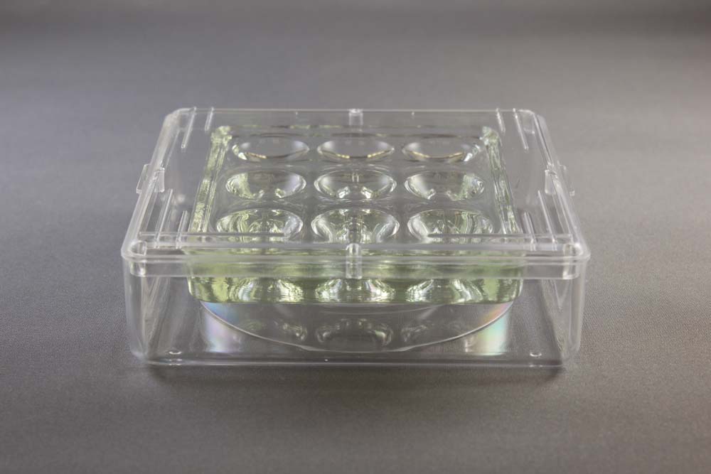 9 Well Glass Plate & Sandwich Box Setup