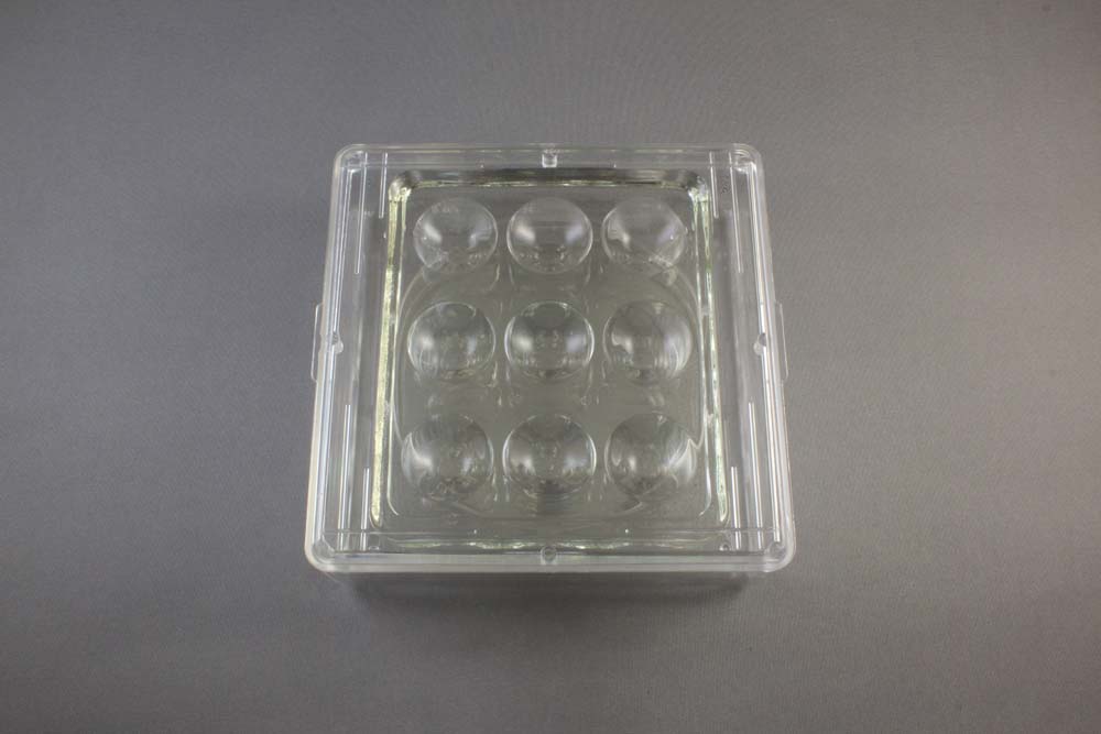 9 Well Glass Plate & Sandwich Box Setup