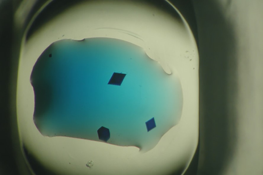Izit Crystal Dye