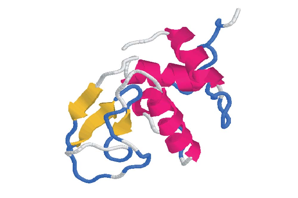 Lysozyme