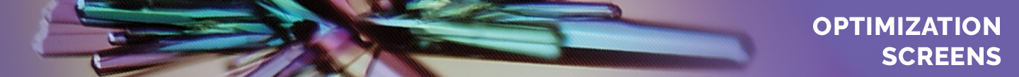 Solubility & Stability Screen