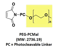 生體硫黃解析用試薬 -SulfoBiotics- PEG-PCMal　同仁化學(xué)研究所