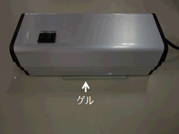 生體硫黃解析用試薬 -SulfoBiotics- PEG-PCMal　同仁化學(xué)研究所