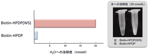 生體硫黃解析用試薬 -SulfoBiotics- Biotin-HPDP(WS) solution　