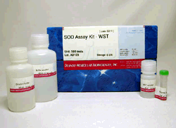 ACE阻害活性測定キット ACE Kit - WST　同仁化學(xué)研究所
