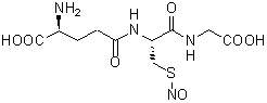NO検出関連試薬 S-Nitrosoglutathione　