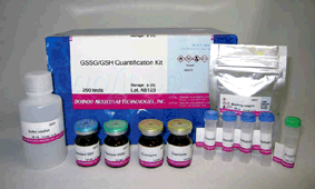 グルタチオン定量キット GSSG/GSH Quantification Kit