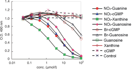 DNAダメージ検出抗體 Anti-Nitroguanosine monoclonal antibody(Clone#NO2G52)　