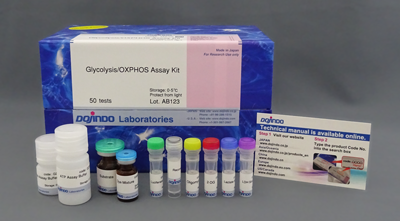 解糖系/酸化的リン酸化測(cè)定キット Glycolysis/OXPHOS Assay Kit　