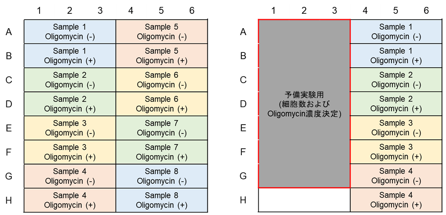 解糖系/酸化的リン酸化測(cè)定キット Glycolysis/OXPHOS Assay Kit　