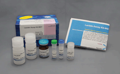 解糖系/酸化的リン酸化測(cè)定キット Glycolysis/OXPHOS Assay Kit　