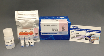 解糖系/酸化的リン酸化測(cè)定キット Glycolysis/OXPHOS Assay Kit　