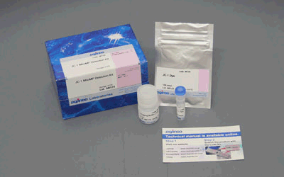 解糖系/酸化的リン酸化測(cè)定キット Glycolysis/OXPHOS Assay Kit　