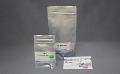 老化細(xì)胞検出キット Cellular Senescence Detection Kit - SPiDER-βGal　