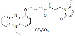 電子メディエーター 1-Methoxy PMS　
