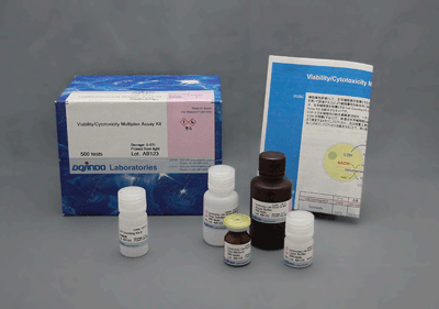 還元系発色試薬?細(xì)胞増殖測(cè)定用試薬 MTT　