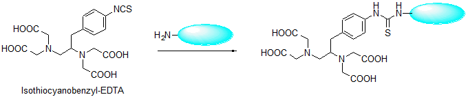 キレート標(biāo)識試薬 Isothiocyanobenzyl-EDTA　