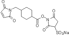 架橋剤 Sulfo-SMCC
