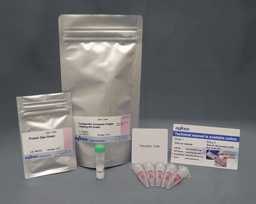 エクソソーム 膜蛍光染色キット Deep Red ExoSparkler Exosome Membrane Labeling Kit-Deep Red　