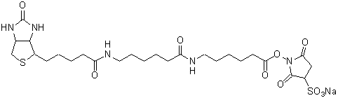 ビオチン標(biāo)識試薬 Biotin-(AC5)2 Sulfo-OSu