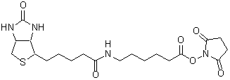 ビオチン標(biāo)識(shí)試薬 Biotin-AC5-OSu