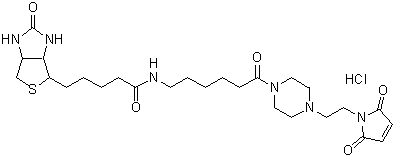 ビオチン標(biāo)識(shí)試薬 Biotin-PEAC5-maleimide