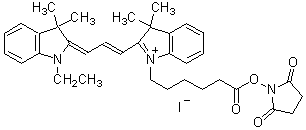 蛍光標(biāo)識(shí)試薬 IC3-OSu special packaging　