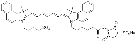 蛍光標(biāo)識試薬 ICG-Sulfo-OSu　