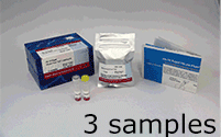 抗體標(biāo)識(shí)キット Ab-10 Rapid HiLyte Fluor™ 647 Labeling Kit