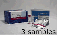 抗體標識キット Ab-10 Rapid R-Phycoerythrin Labeling Kit