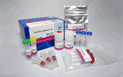 抗體標(biāo)識(shí)キット Ab-10 Rapid Peroxidase Labeling Kit　