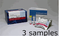 抗體標(biāo)識(shí)キット Ab-10 Rapid Fluorescein Labeling Kit