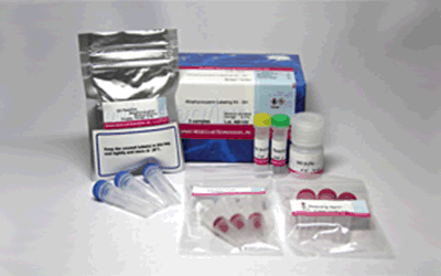 抗體?タンパク質(zhì)標(biāo)識キット Allophycocyanin Labeling Kit - SH