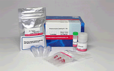 抗體?タンパク質(zhì)標(biāo)識キット Allophycocyanin Labeling Kit - NH2　