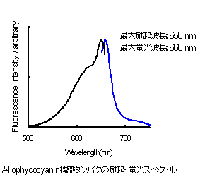 抗體?タンパク質(zhì)標(biāo)識キット Allophycocyanin Labeling Kit - NH2　