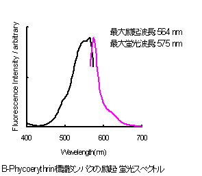 抗體?タンパク質(zhì)標(biāo)識キット Allophycocyanin Labeling Kit - NH2　