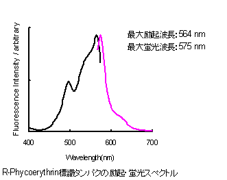 抗體?タンパク質(zhì)標(biāo)識キット Allophycocyanin Labeling Kit - NH2　