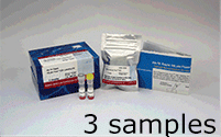 抗體?タンパク質(zhì)標(biāo)識(shí)キット HiLyte Fluor&trade; 555 Labeling Kit - NH2　